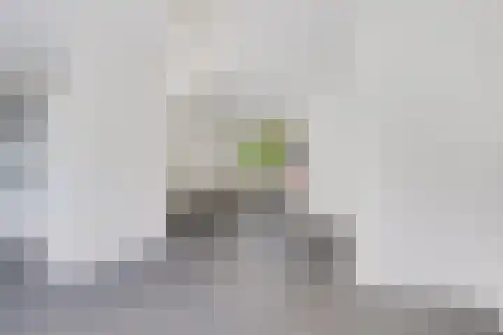 Liefkenshoekstraat 39 Tilburg thumbnail 5