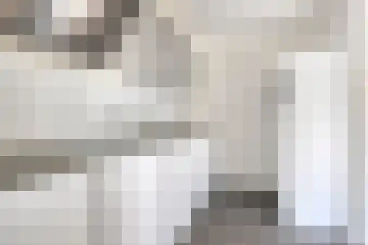 Liefkenshoekstraat 39 Tilburg thumbnail 7