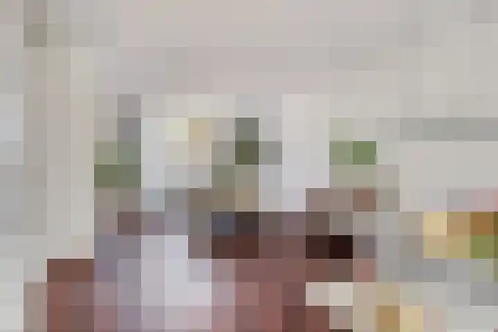 Liefkenshoekstraat 61 Tilburg thumbnail 10
