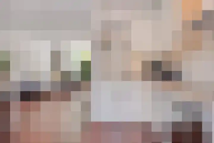 Liefkenshoekstraat 61 Tilburg thumbnail 12