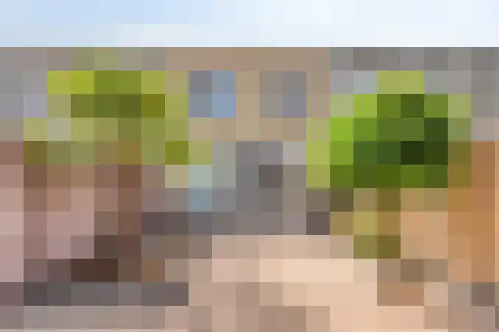 Liefkenshoekstraat 61 Tilburg thumbnail 24