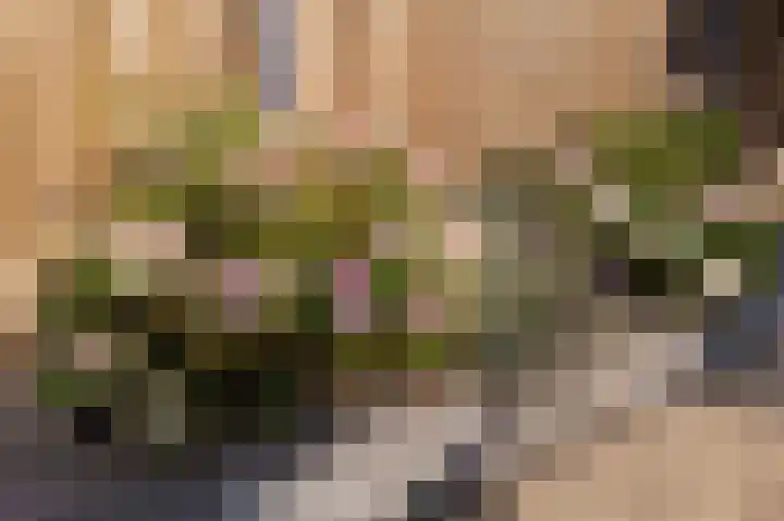 Liefkenshoekstraat 61 Tilburg thumbnail 25
