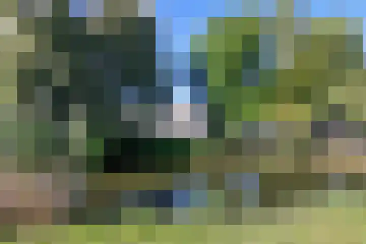 Liefkenshoekstraat 61 Tilburg thumbnail 47