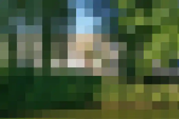 Liefkenshoekstraat 61 Tilburg thumbnail 48