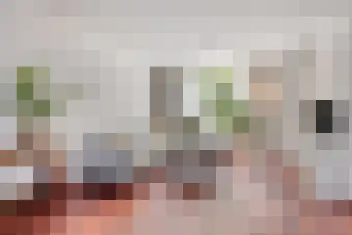 Liefkenshoekstraat 61 Tilburg thumbnail 7