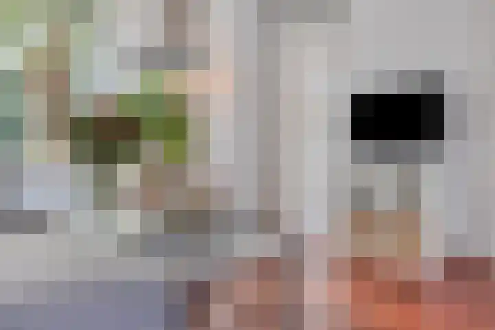 Liefkenshoekstraat 61 Tilburg thumbnail 9