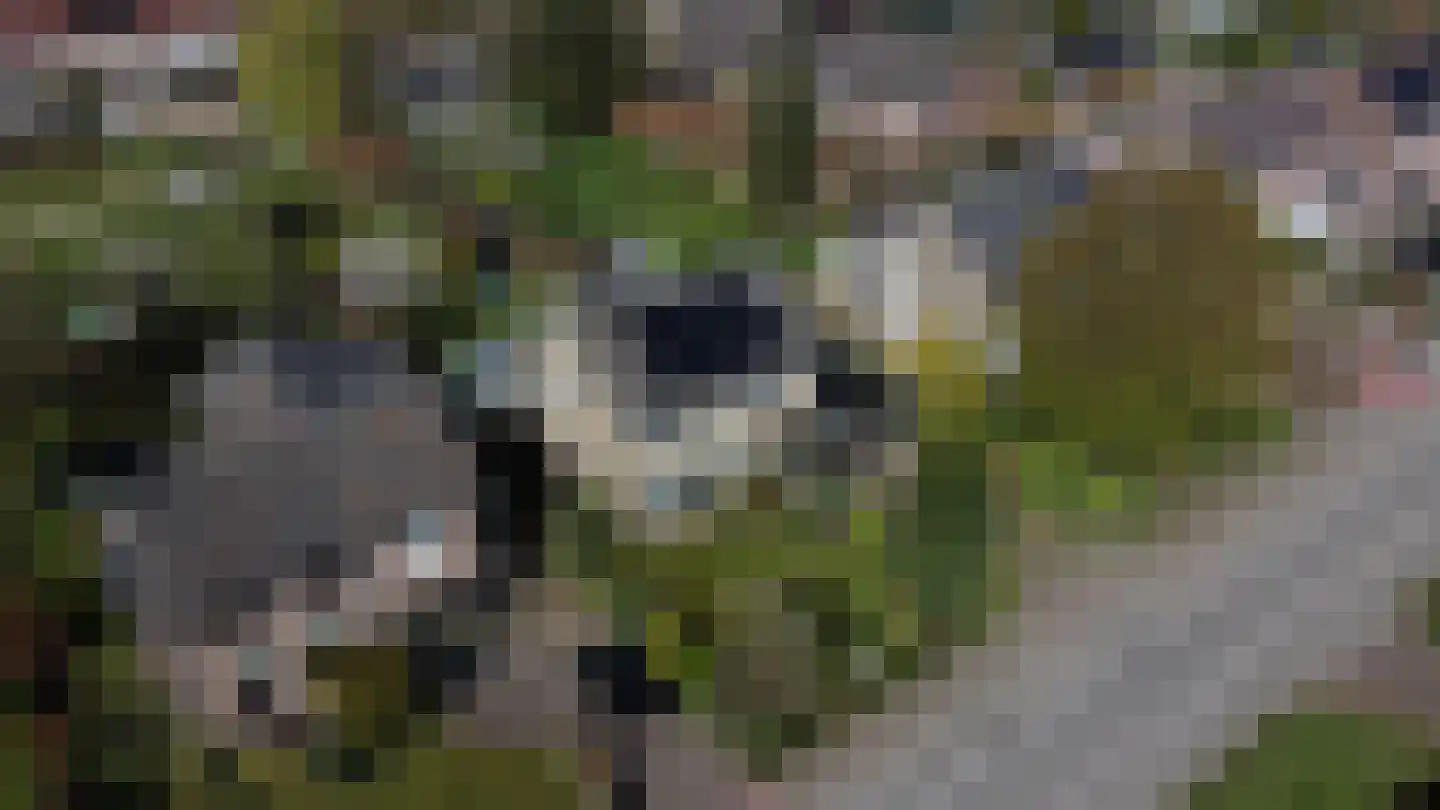 Liefkeshoek 12 Katwijk NB thumbnail 41