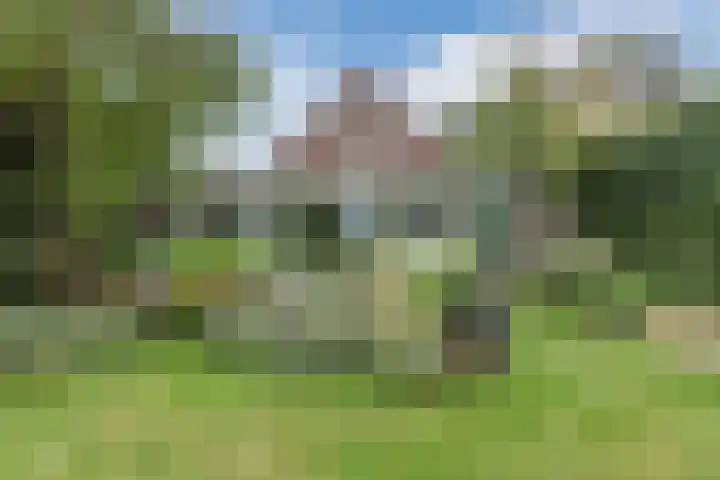 Liefkeshoek 30 Katwijk NB thumbnail 36
