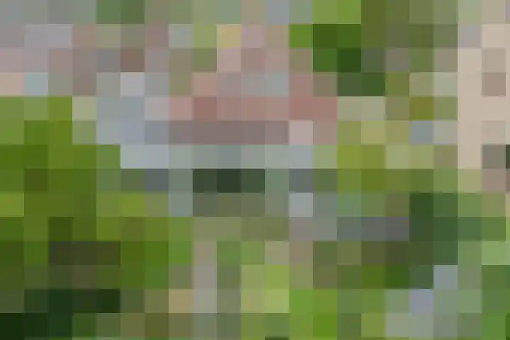 Liefkeshoek 30 Katwijk NB thumbnail 4