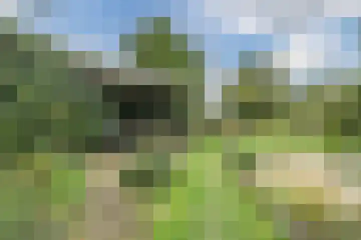 Liefkeshoek 30 Katwijk NB thumbnail 41