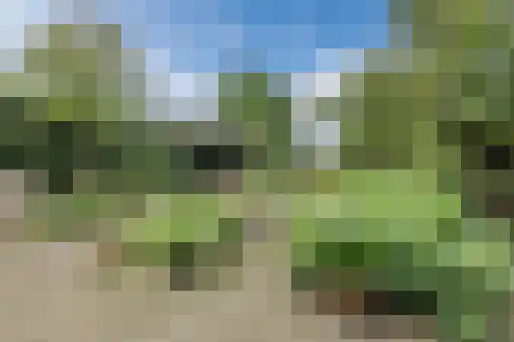 Liefkeshoek 30 Katwijk NB thumbnail 43