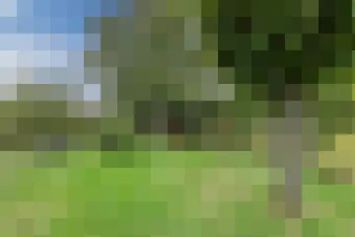Liefkeshoek 30 Katwijk NB thumbnail 46