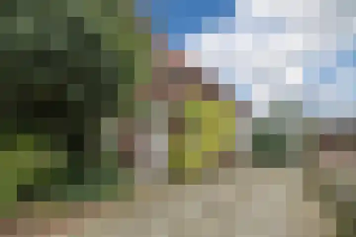 Liefkeshoek 30 Katwijk NB thumbnail 6