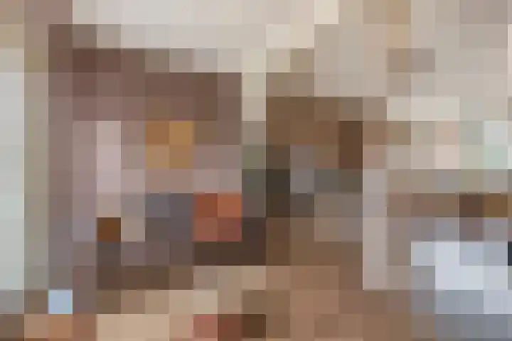 Liefrinckstraat 12 Waalwijk thumbnail 10