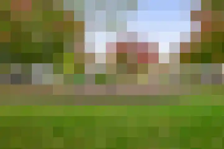 Liefrinckstraat 12 Waalwijk thumbnail 27