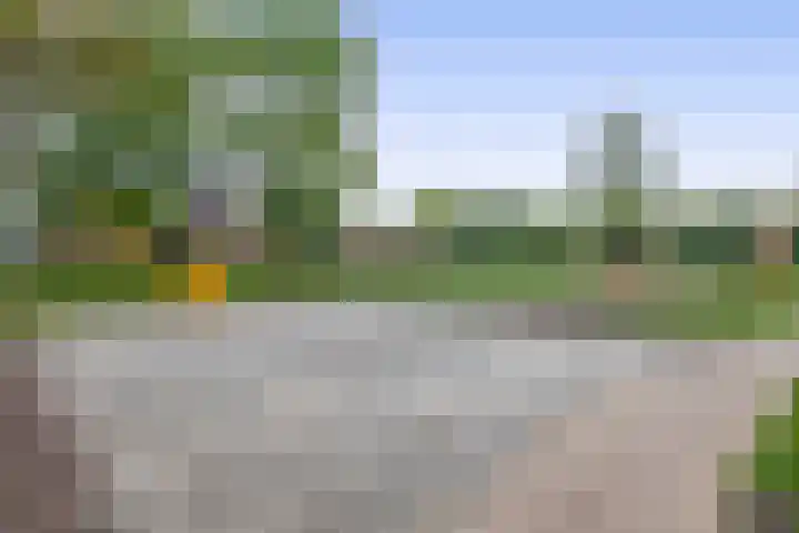 Liefrinckstraat 12 Waalwijk thumbnail 28