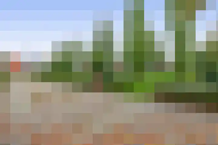 Liefrinckstraat 12 Waalwijk thumbnail 30