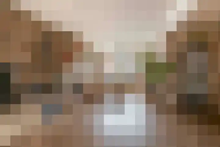 Liefrinckstraat 12 Waalwijk thumbnail 7