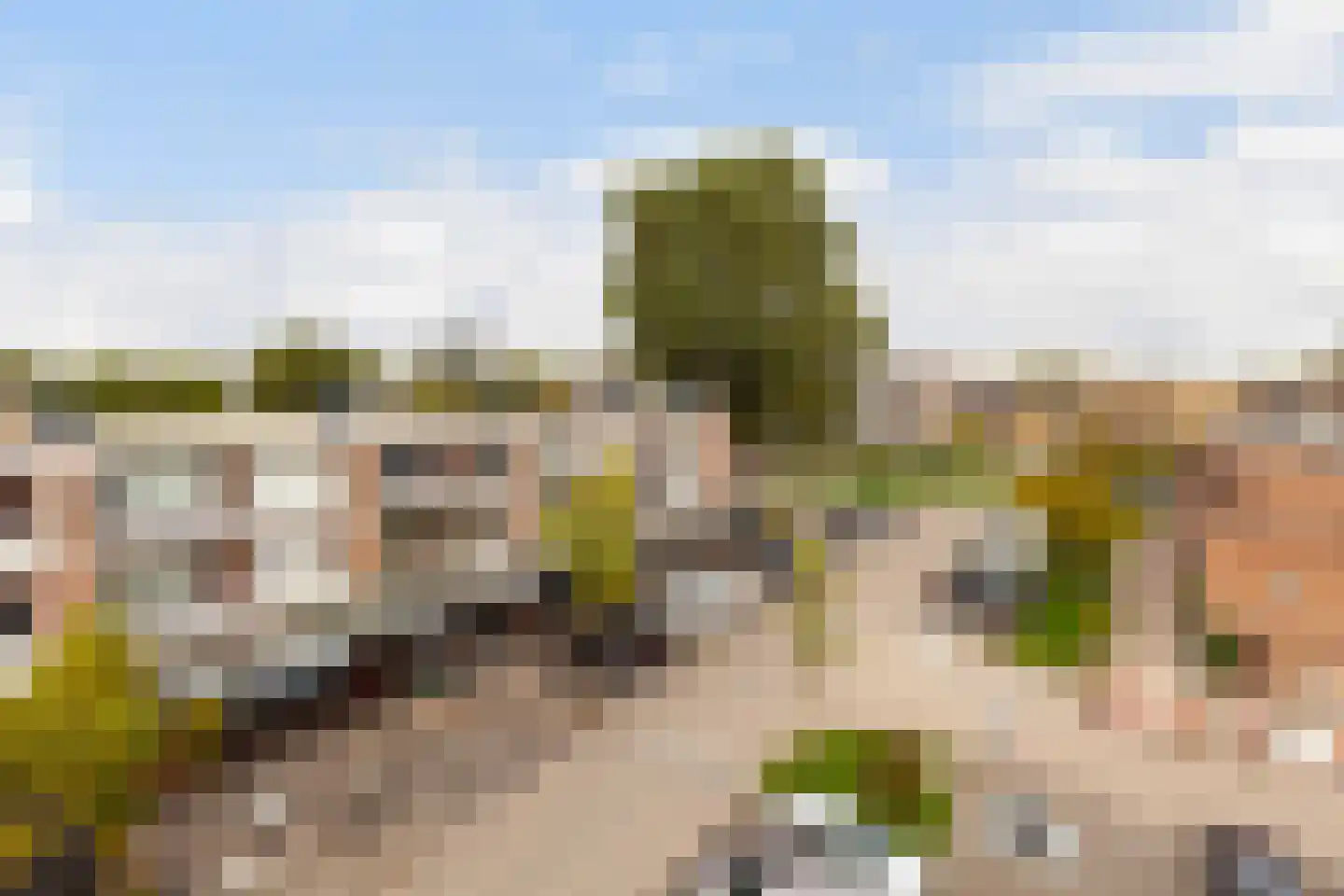 Lieftinckplein 35 Schiedam thumbnail 16