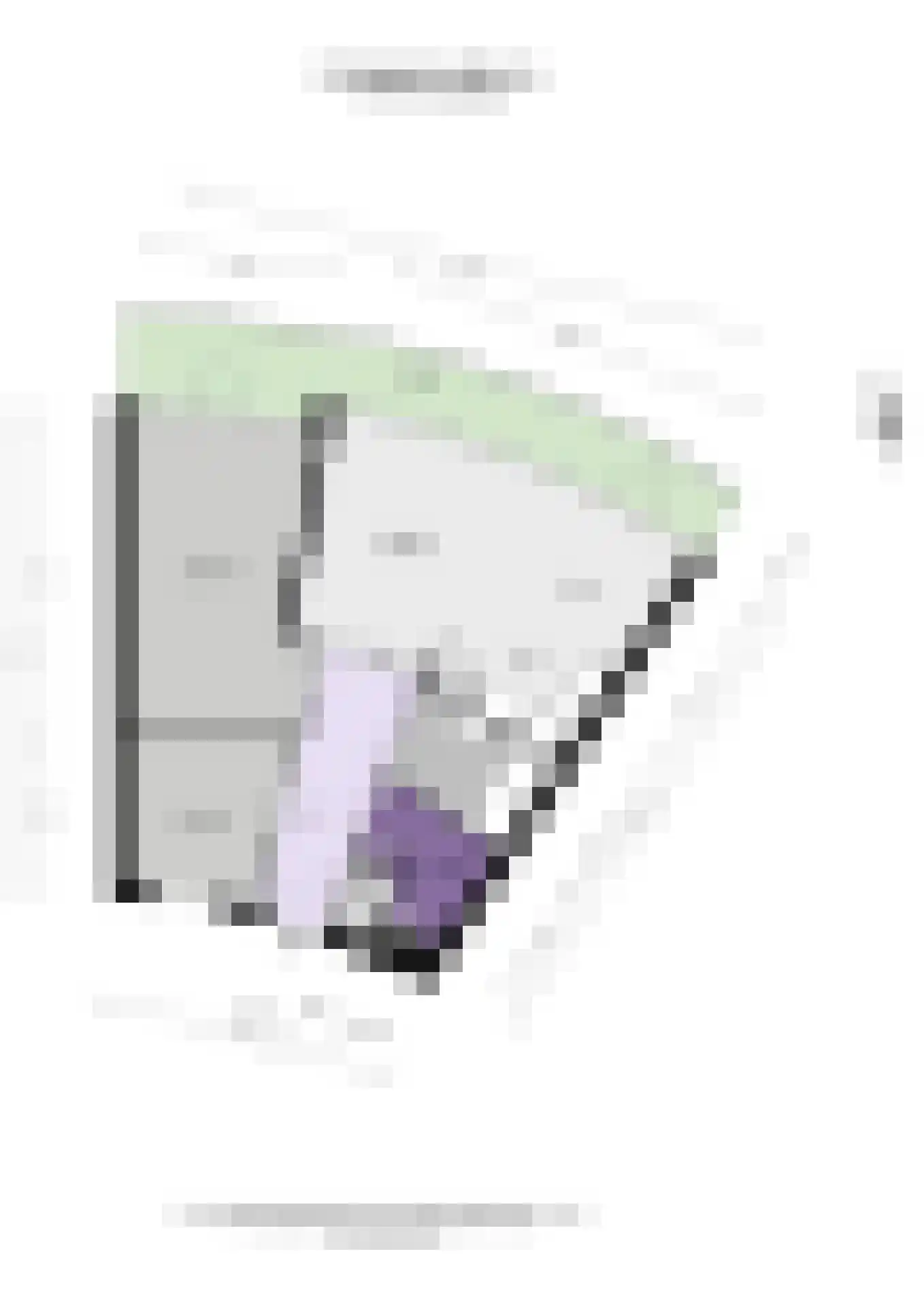 Lieftinckplein 36 Schiedam thumbnail 32