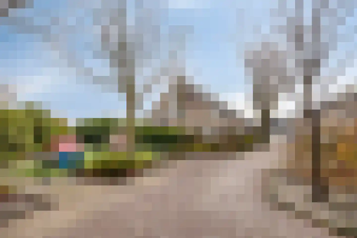 Lieftinckstraat 36 Naaldwijk thumbnail 31