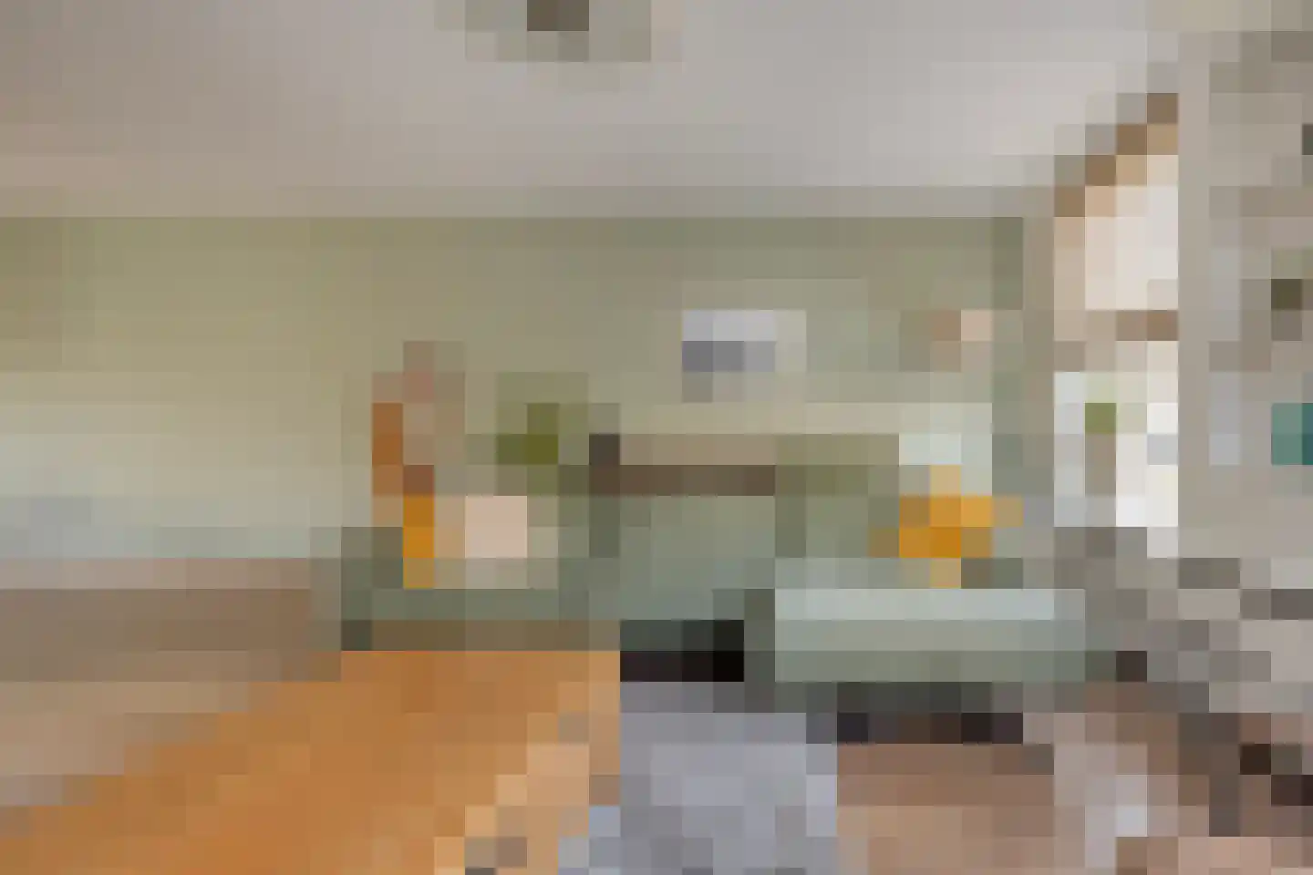 Lieftinckstraat 36 Naaldwijk thumbnail 4