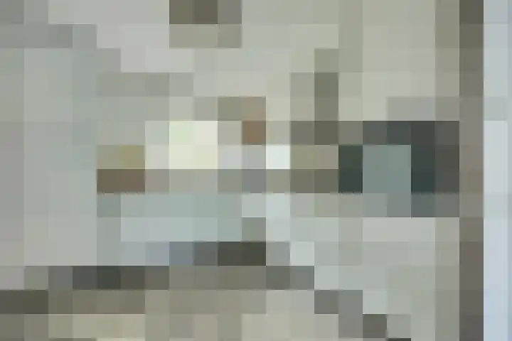 Lieftinckstraat 37 Naaldwijk thumbnail 11