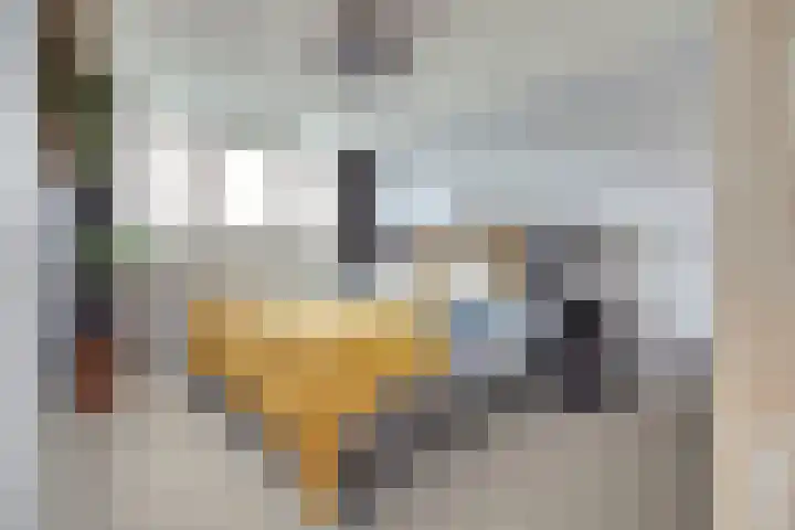 Lieftinckstraat 37 Naaldwijk thumbnail 13
