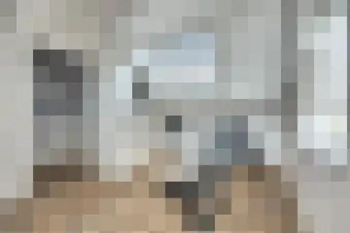 Lieftinckstraat 37 Naaldwijk thumbnail 21