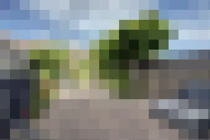 Lieftinckstraat 37 Naaldwijk thumbnail 23