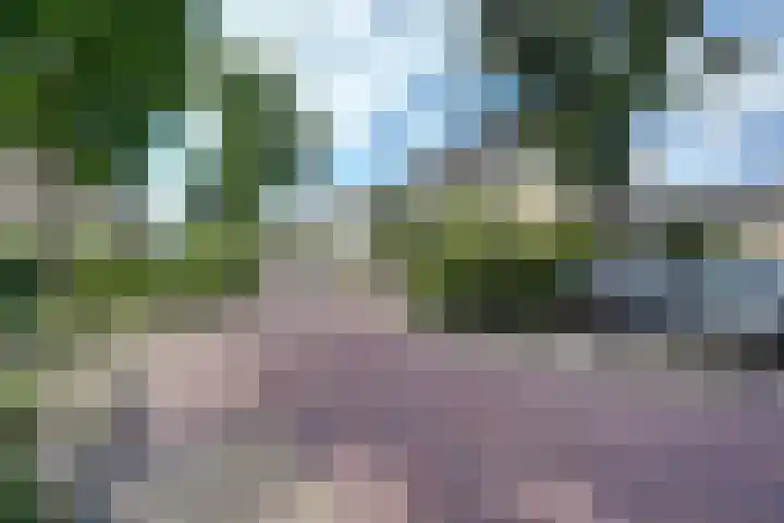 Lieftinckstraat 37 Naaldwijk thumbnail 28
