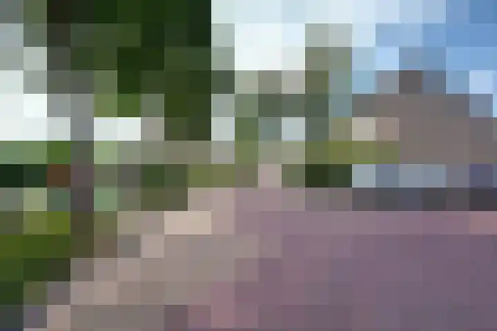 Lieftinckstraat 37 Naaldwijk thumbnail 30