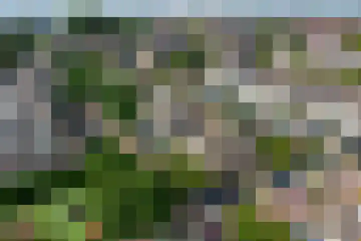 Lieftinckstraat 37 Naaldwijk thumbnail 32