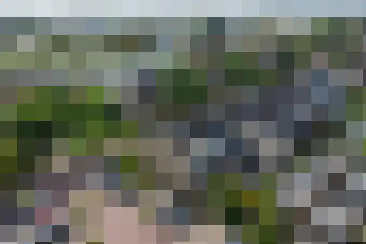 Lieftinckstraat 37 Naaldwijk thumbnail 33