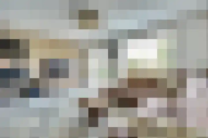 Lieftinckstraat 37 Naaldwijk thumbnail 6