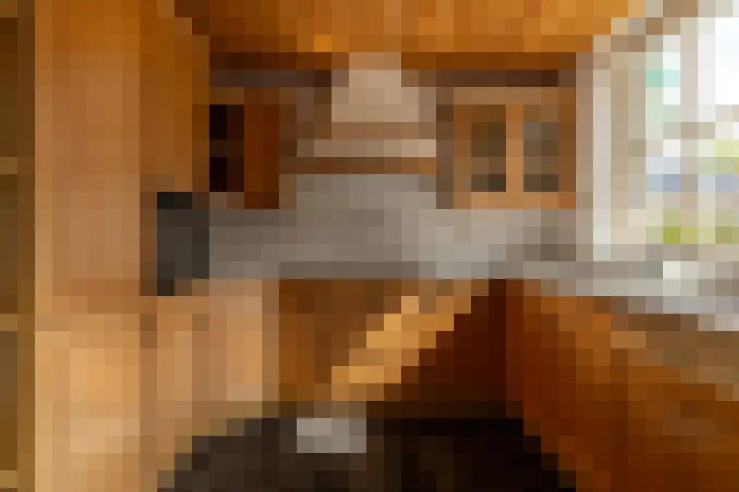 Liemdobben 10 Oudemirdum thumbnail 13
