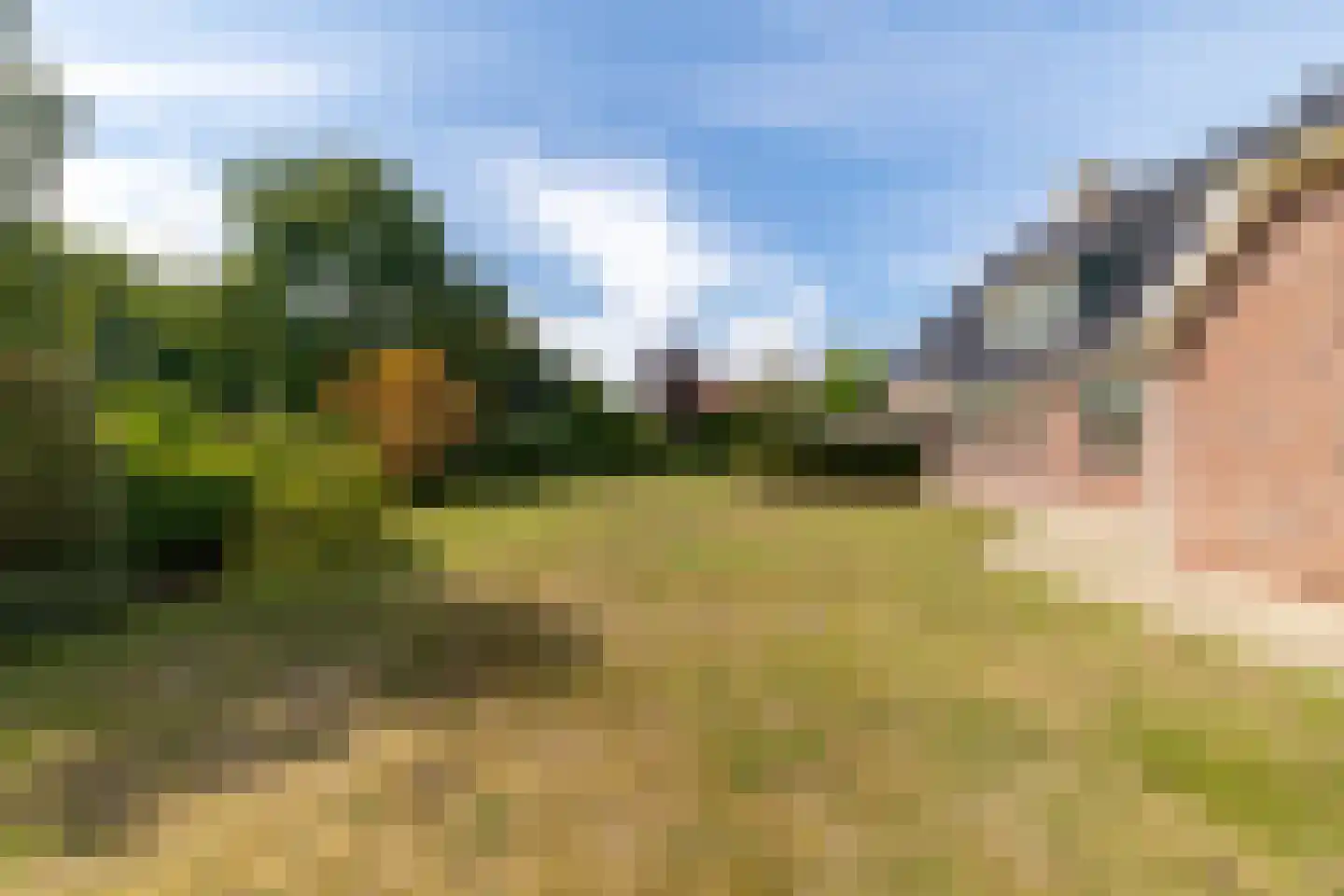 Liemdobben 10 Oudemirdum thumbnail 38