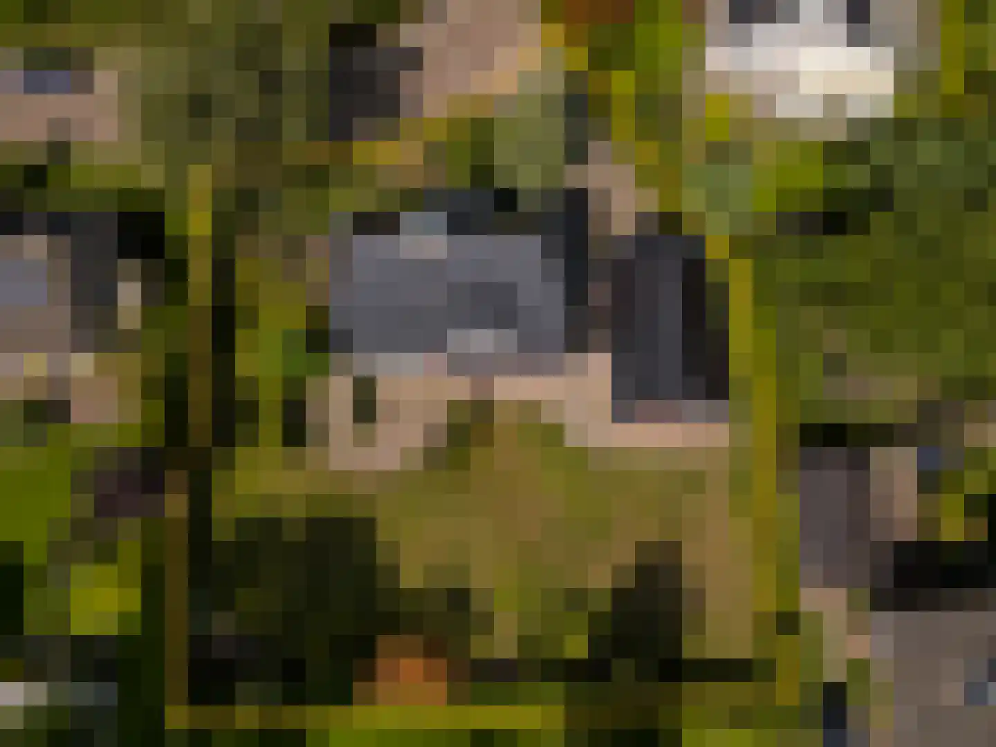 Liemdobben 10 Oudemirdum thumbnail 6