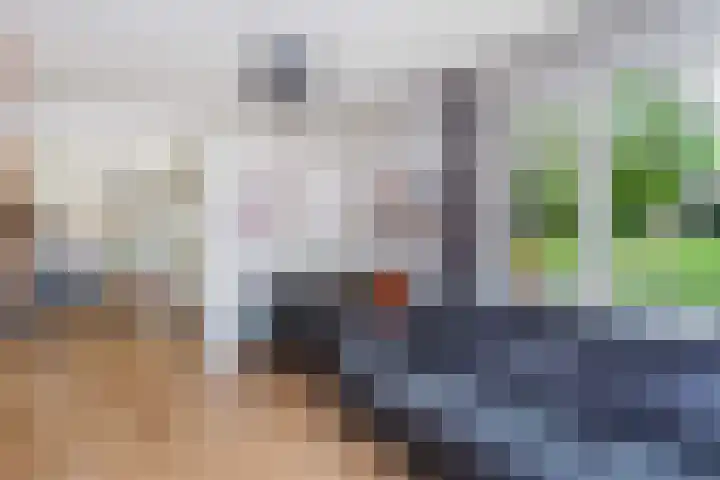 Liemers 8 Utrecht thumbnail 12