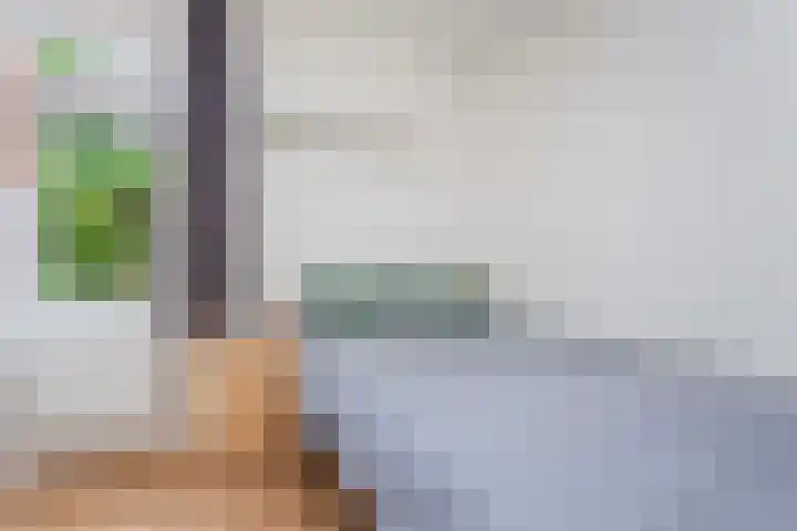 Liemers 8 Utrecht thumbnail 21