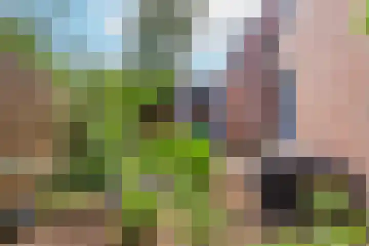 Liemers 8 Utrecht thumbnail 26