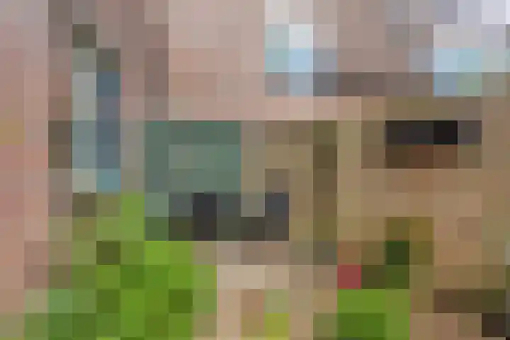 Liemers 8 Utrecht thumbnail 27