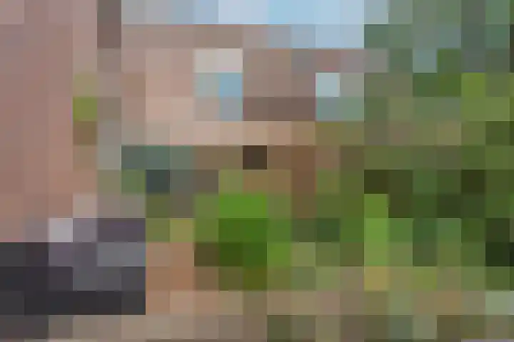 Liemers 8 Utrecht thumbnail 28