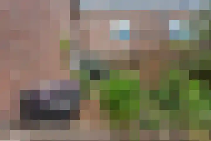 Liemers 8 Utrecht thumbnail 29