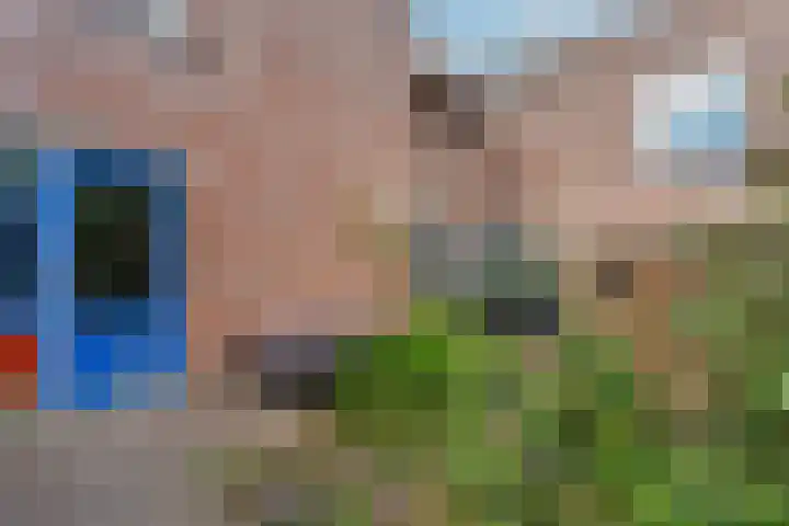 Liemers 8 Utrecht thumbnail 30