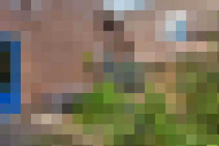 Liemers 8 Utrecht thumbnail 31
