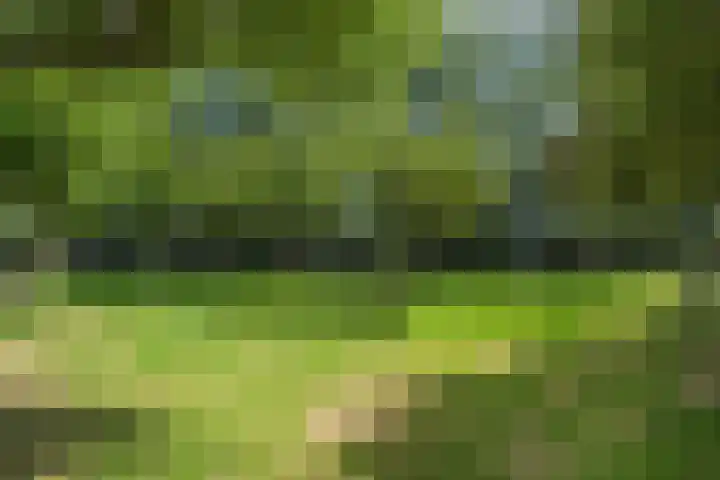 Liemers 8 Utrecht thumbnail 32