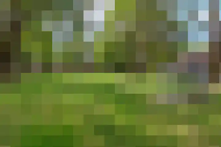 Liemers 8 Utrecht thumbnail 33