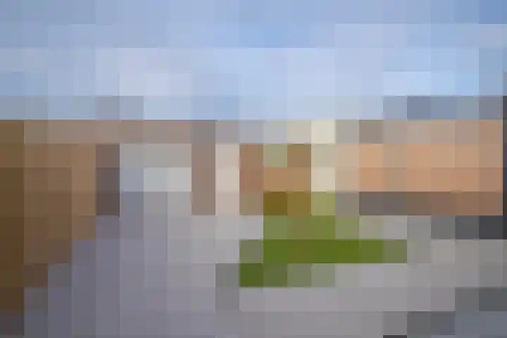 Liemersallee 4 Westervoort thumbnail 24