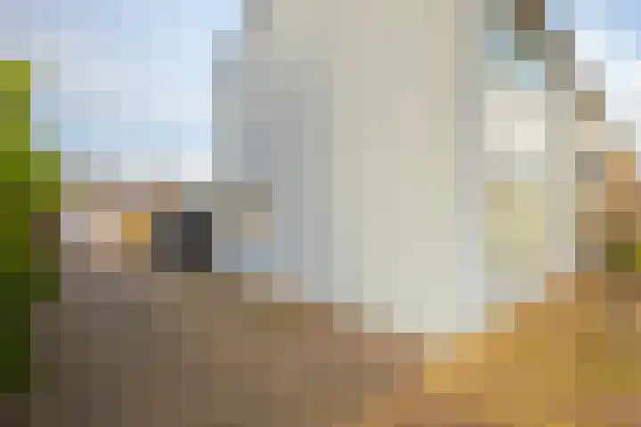 Liemersallee 4 Westervoort thumbnail 7